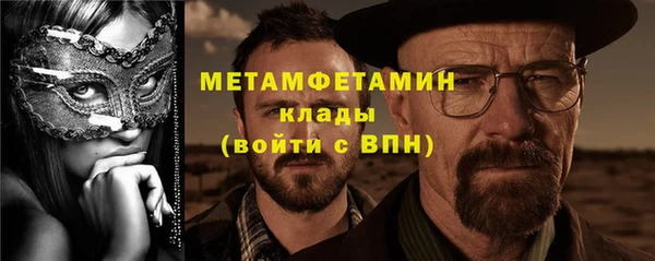 прущие грибы Волоколамск
