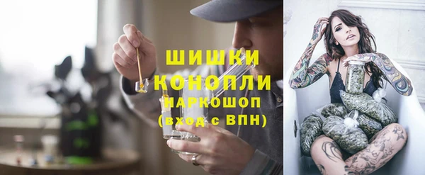 прущие грибы Волоколамск