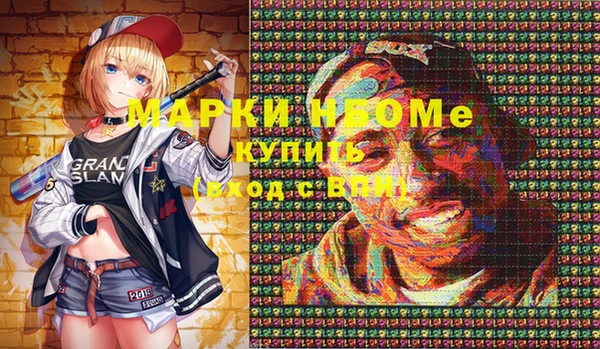 прущие грибы Волоколамск
