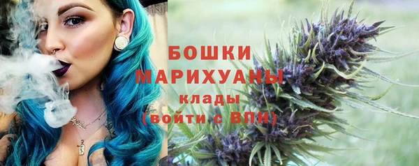 прущие грибы Волоколамск