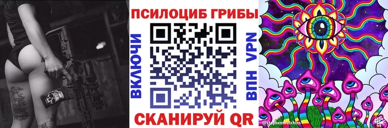 дарнет шоп  Кизляр  Галлюциногенные грибы GOLDEN TEACHER 